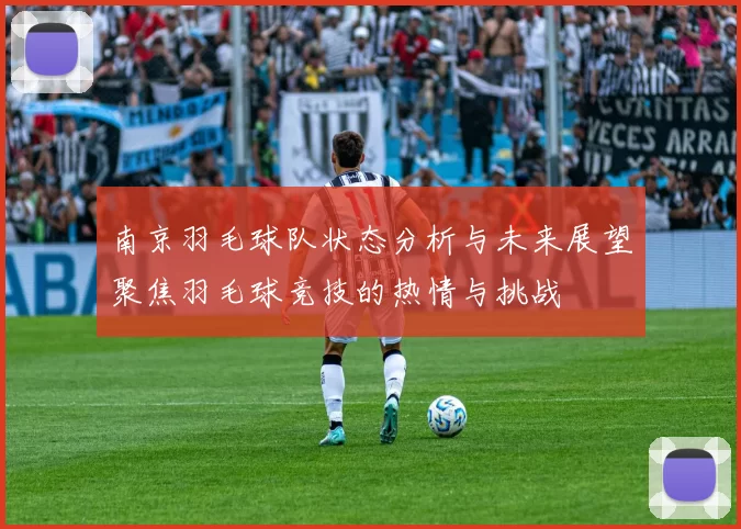 南京羽毛球队状态分析与未来展望聚焦羽毛球竞技的热情与挑战