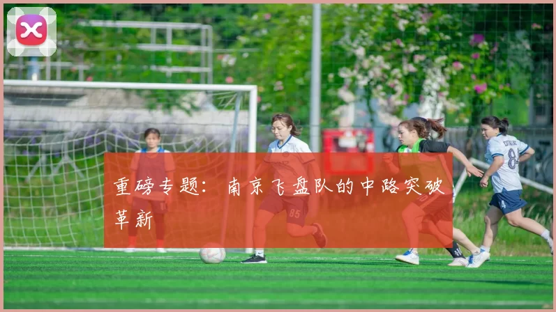 重磅专题：南京飞盘队的中路突破革新